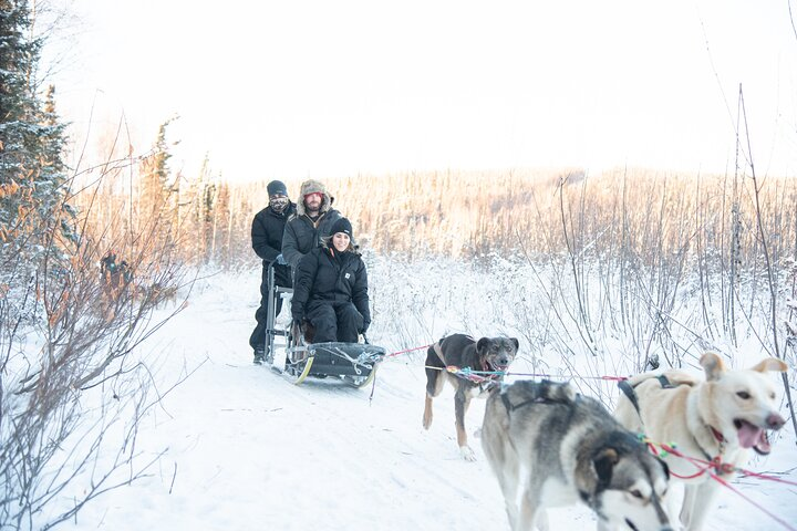 Dogsled and Reindeer Day Trip to Borealis Basecamp - Photo 1 of 16